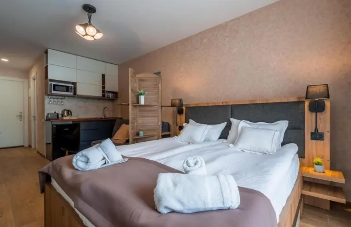 Гудаури: New Gudauri Loft2 311