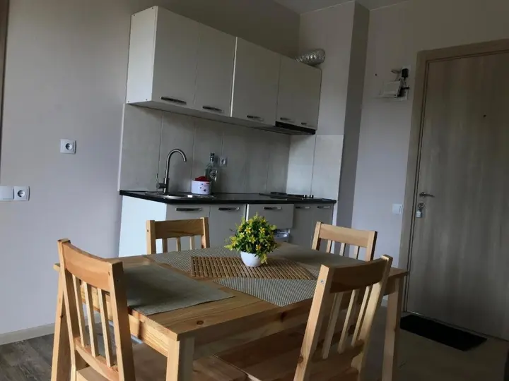 Бакуриани: Bakuriani Plaza B401