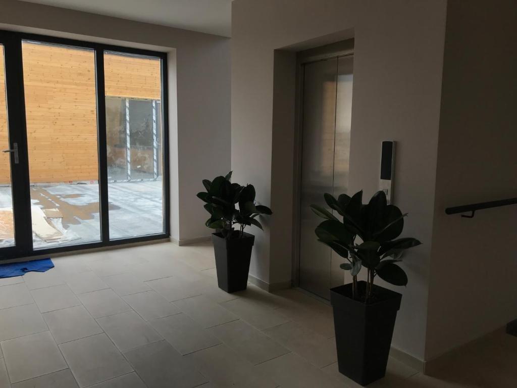 Бакуриани: Bakuriani Plaza B401
