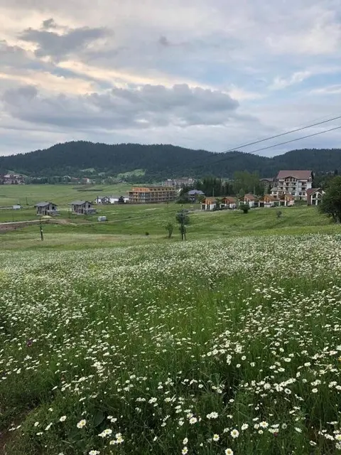 Бакуриани: bakuriani plaza b307