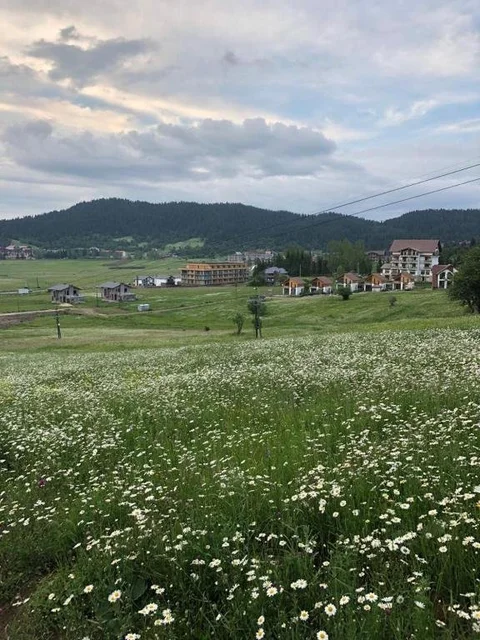 Бакуриани: bakuriani plaza b307