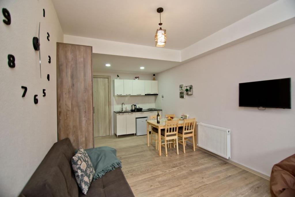 Бакуриани: Bakuriani Plaza B213