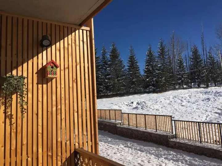 Бакуриани: Bakuriani Plaza B213