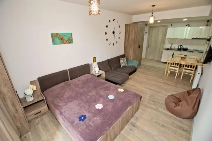 Бакуриани: Bakuriani Plaza B213