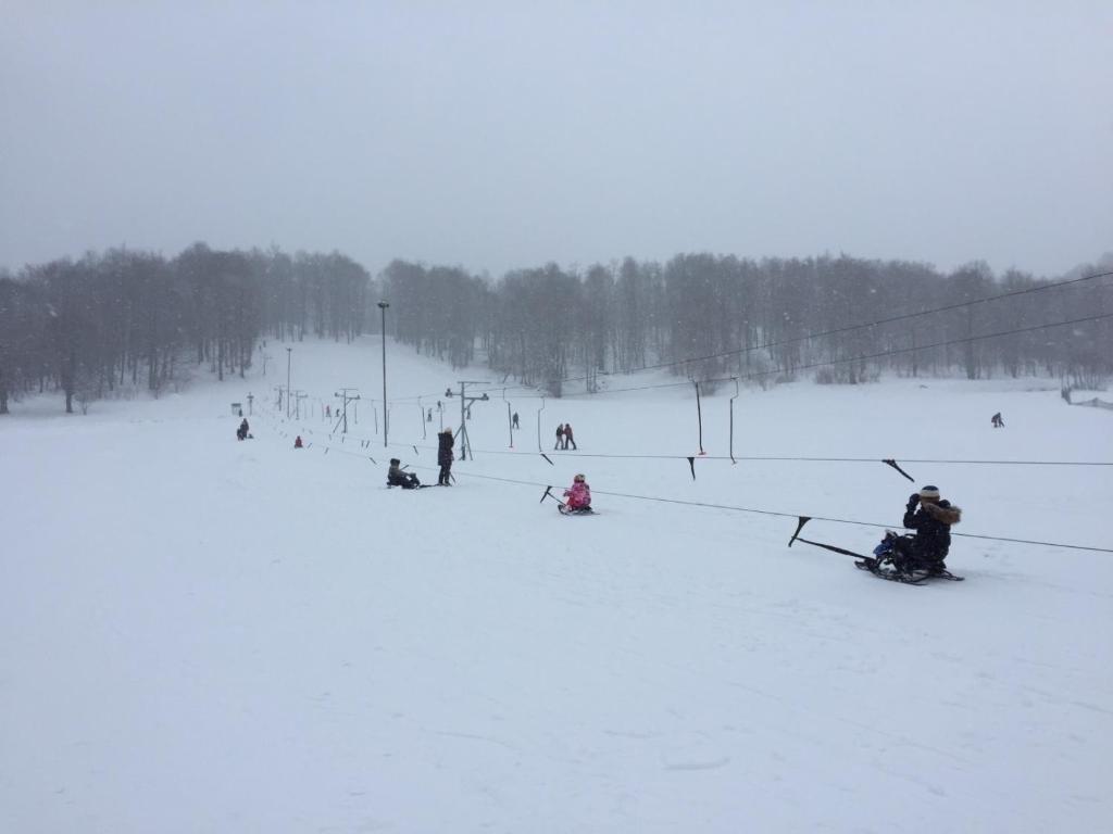 Бакуриани: bakuriani Crystal Resort B 100