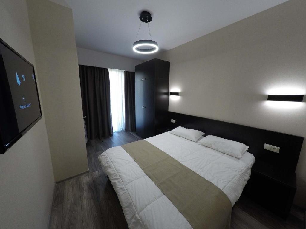 Бакуриани: bakuriani Crystal Resort B 100