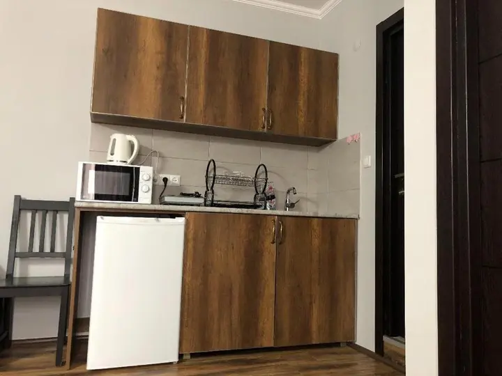 Бакуриани: Modern And Charming Apartment In Bakuriani Resort Room 212