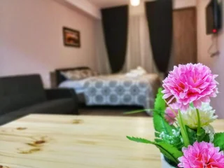 Бакуриани: Bakuriani Plaza A107