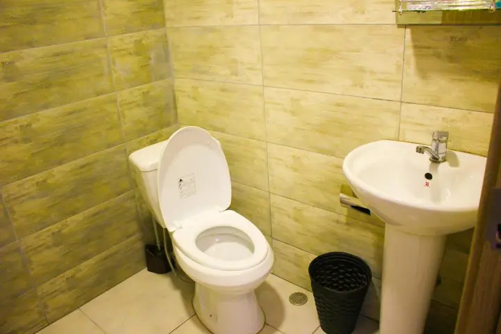 Боржоми: Likani Green Residence