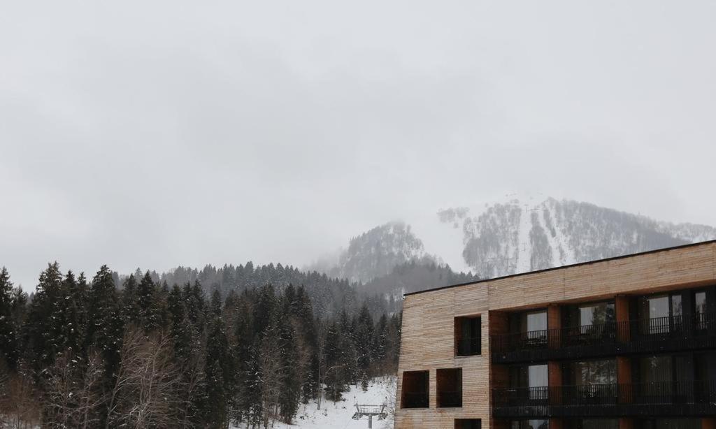 Бакуриани: Bakuriani Kokhta-Mitarbi Resort, apartment#5