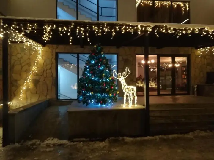 Бакуриани: Bakuriani Plaza 205