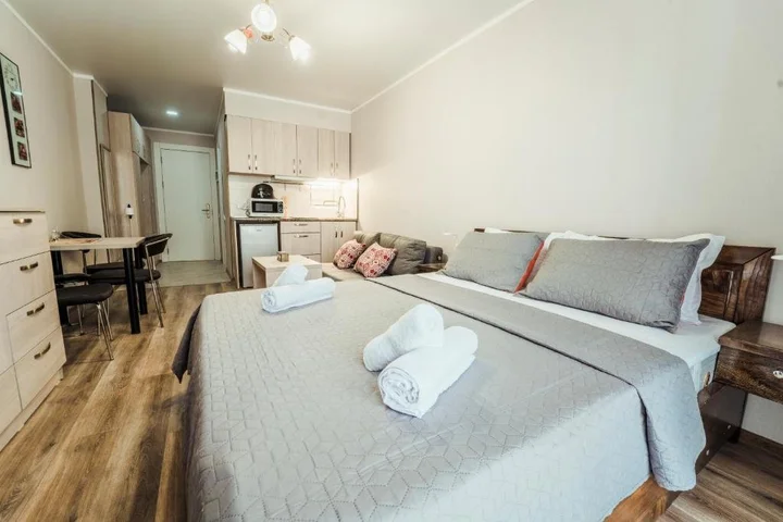 Гудаури: New Gudauri Ski Loft 511