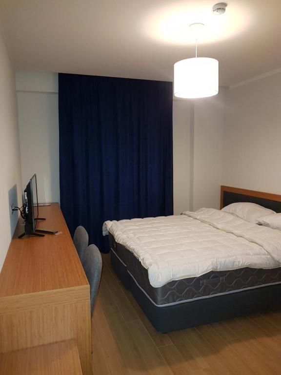 Бакуриани: Bakuriani Orbi Palace Room 521