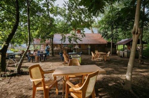 Шекветили: Guest House 2 Bedrooms 1 Bathroom - Shekvetili