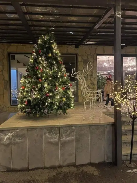Бакуриани: Bakuriani Plaza B416