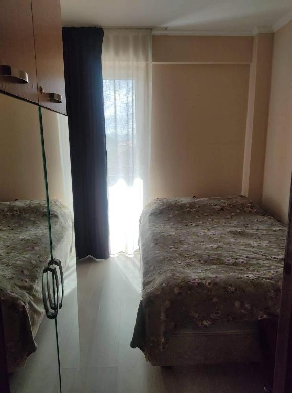 Бакуриани: Hotel Mgzavrebi 5