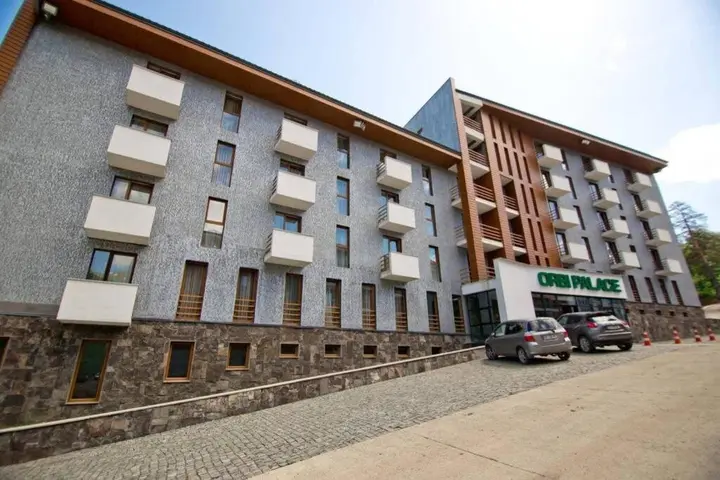 Бакуриани: Bakuriani Orbi Palace #419