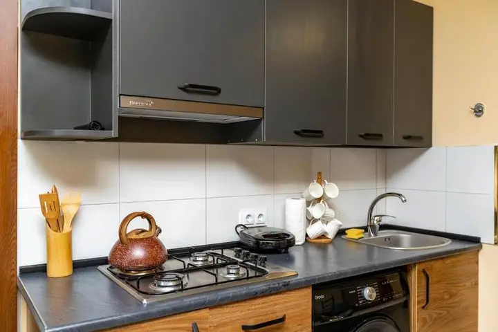 Cozy 1br Apt. W/ Balcony in Center of Bakuriani — фото 4