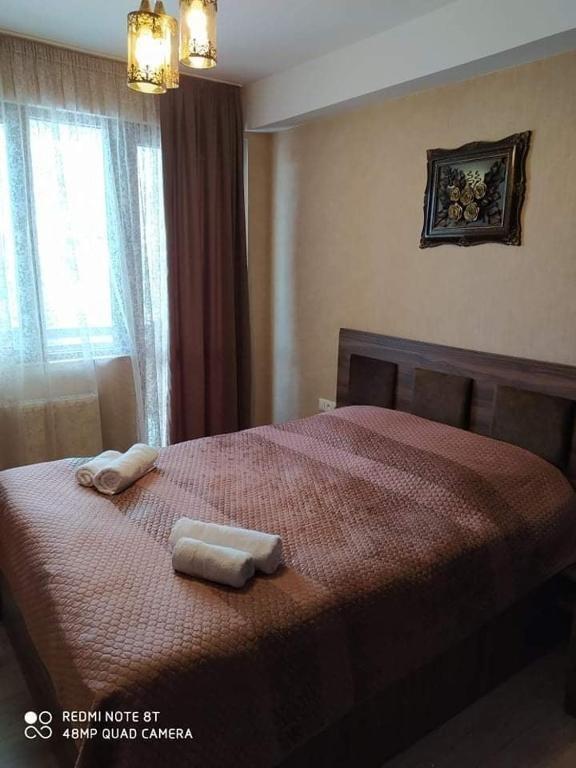 Бакуриани: Didveli Residence E 80