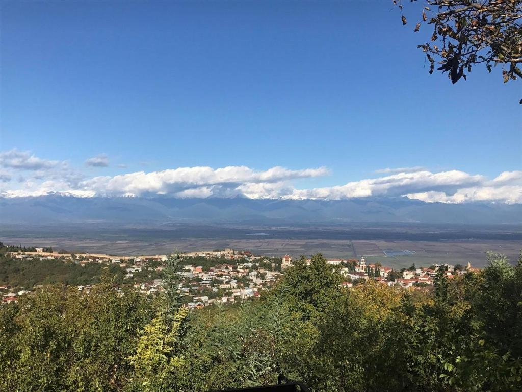 Сигнахи: Family Hotel in Nukriani , 2km From Sighnaghi