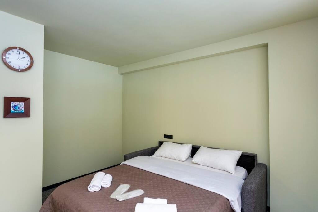 Бакуриани: Cozy Studio Aptartment Next to Rooms Hotel In The Hills of Bakuriani