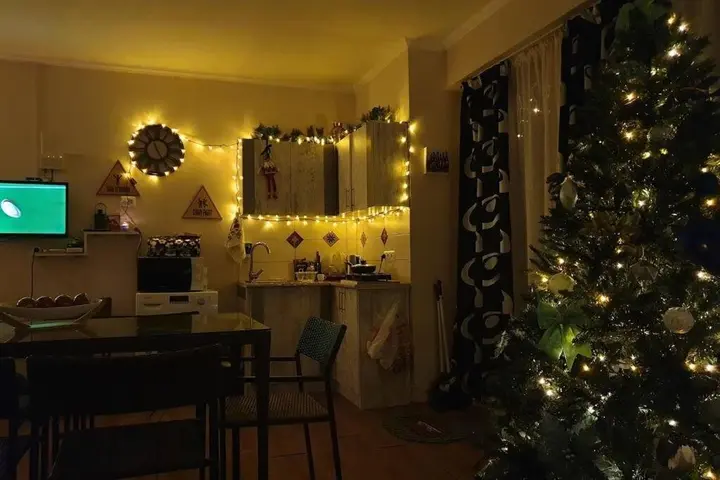 Бакуриани: Veranda 505, Hotel Mgzavrebi Bakuriani.