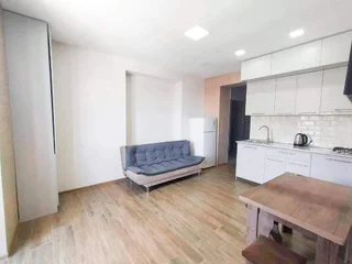 Бакуриани: Didveli Residence E36