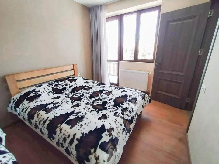 Бакуриани: Didveli Residence E36