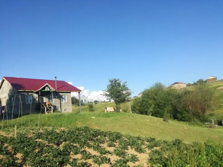 Местиа: Lia's Guest house Tsvirmi