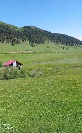 Местиа: Lia's Guest house Tsvirmi