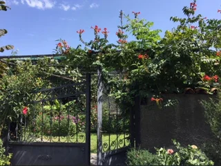 Кварели: Garden House