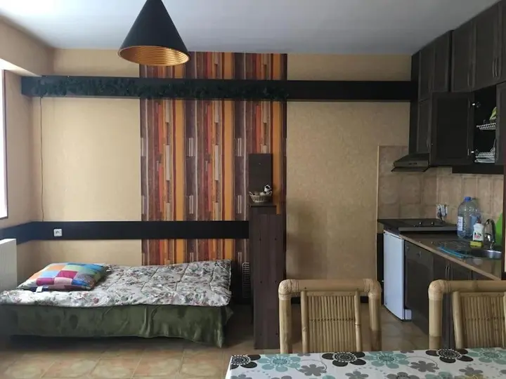 Гудаури: Amazing flat in Gudauri, 5 minutes walk to slopes!