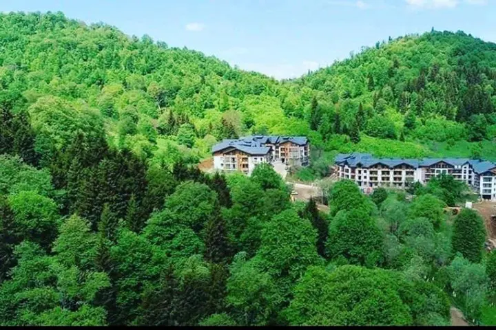 Бакуриани: Didveli Residence C32