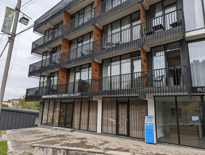 Бакуриани: Modern 1BR Condo Near Didveli - 7 Min Walk