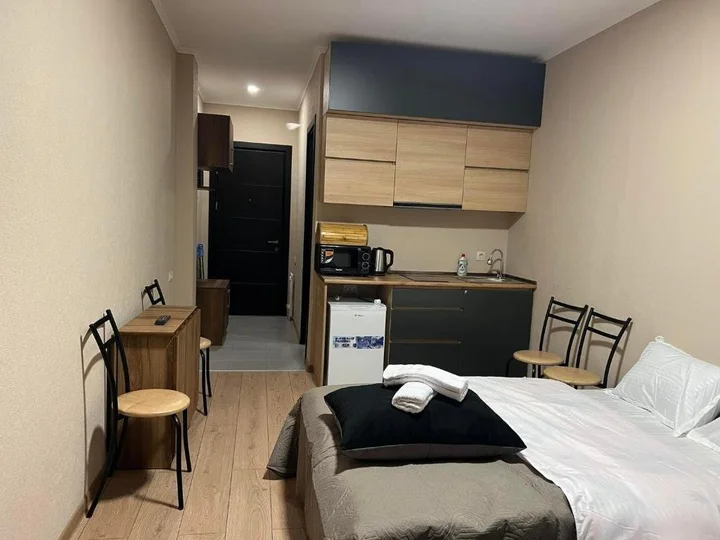 Бакуриани: Bakuriani Resort N421
