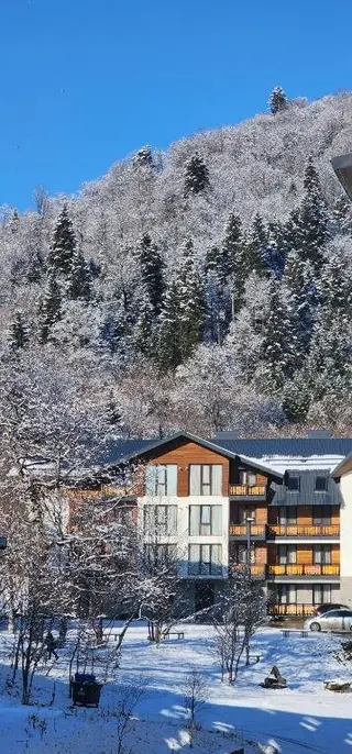 Бакуриани: Eco-Friendly studio near Didveli