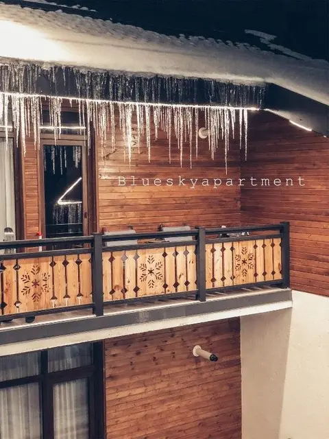 Бакуриани: Bakuriani Didveli Residence A 48