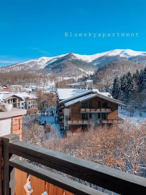 Бакуриани: Bakuriani Didveli Residence A 48