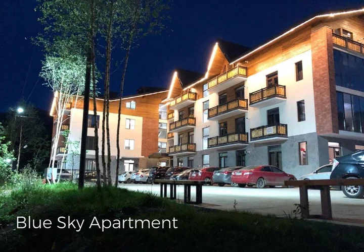 Бакуриани: Bakuriani Didveli Residence A 48
