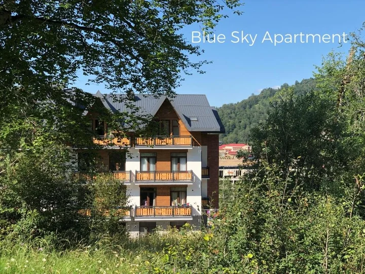 Бакуриани: Bakuriani Didveli Residence A 48