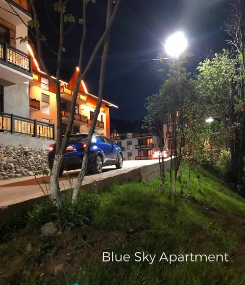 Бакуриани: Bakuriani Didveli Residence A 48