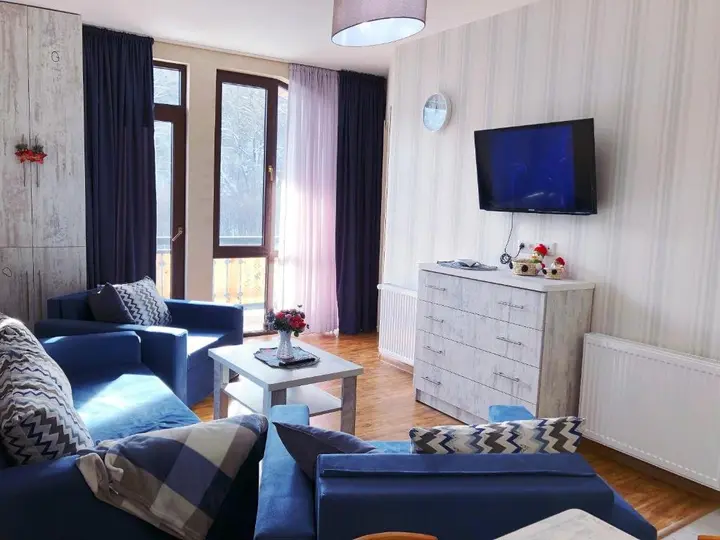 Бакуриани: Bakuriani Didveli Residence A 48