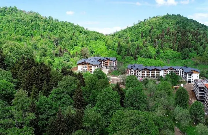 Бакуриани: Bakuriani Didveli Residence A 48