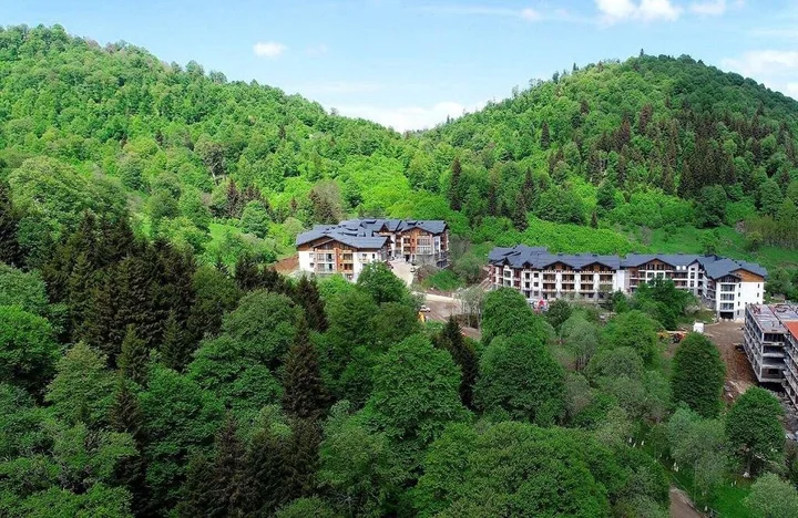Бакуриани: Bakuriani Didveli Residence A 48