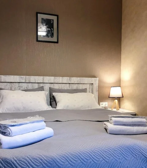 Бакуриани: Bakuriani Didveli Residence A 48