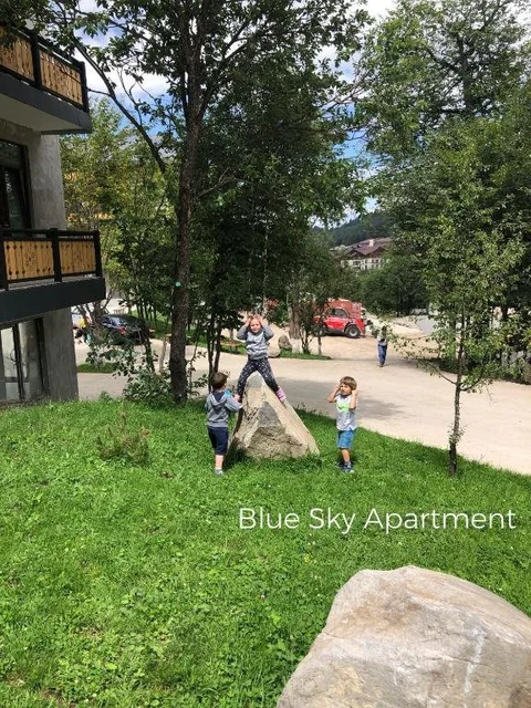 Бакуриани: Bakuriani Didveli Residence A 48