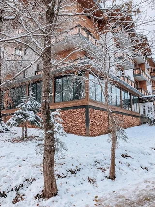Бакуриани: Bakuriani Didveli Residence A 48