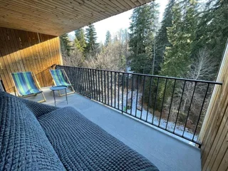 Бакуриани: Kokhta-Mitarbi Resort B1