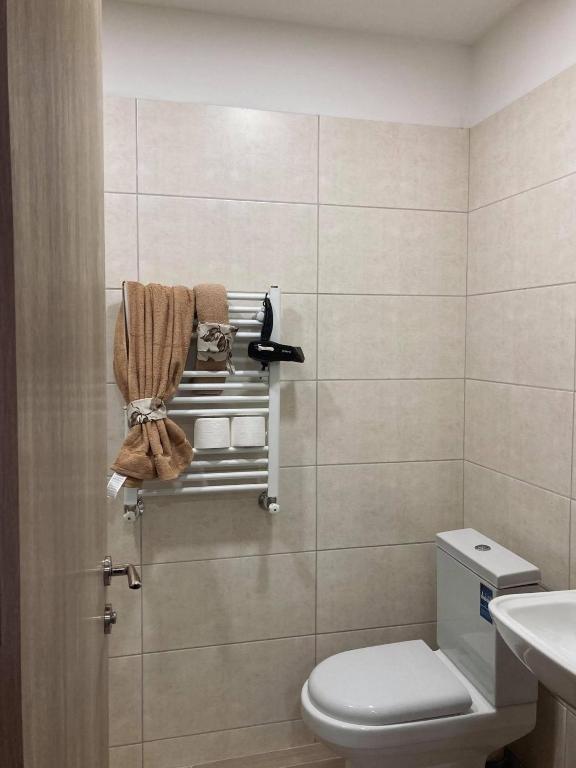 Бакуриани: Bakuriani Plaza A407