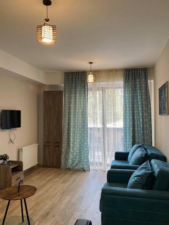 Бакуриани: Bakuriani Plaza A407